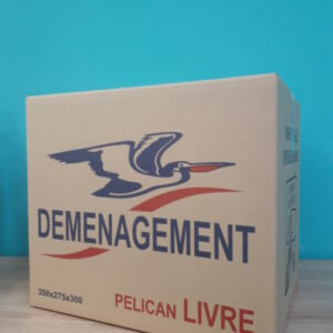 Carton petit format / Livres et vaisselle